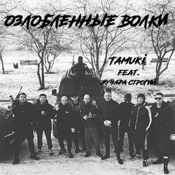 Жучара Строгий