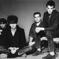 Echo & the Bunnymen