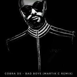 COBRA DS
