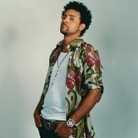 Shaggy