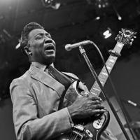 Muddy Waters