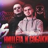 Нищета и собаки