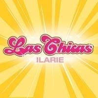 Las Chicas International