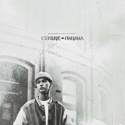 Ваня Кургалин