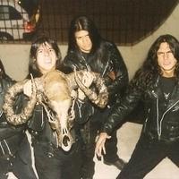 Mortem