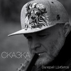 Валерий Шибитов