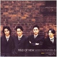 FIELD OF VIEW
