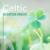 Yoga Meditation - Celtic Chillout Relaxation Academy
