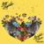 No Apologies - Big Gigantic
