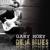 Stranger - Gary Hoey