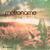 Basic Evolution - Metronome
