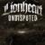 At Your Door - Lionheart