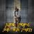 Run Dem Party - King Popa