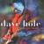 Holding Pattern - Dave Hole
