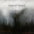 The Inner Desolation - Shape of Despair