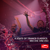 United - Armin van Buuren