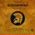 (Woman) Don't Try to Use Me - Horace Andy