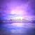 Equilibrium - Bryan EL
