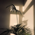 Enigma - Spa Music Relaxation