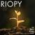 Le Rêve - RIOPY