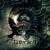 Winter Oblivion - Eutectica