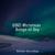 Snowy Nights - Canzoni di Nata