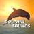 Mellow Seashore Dolphin Sounds - Dolphin Sounds