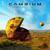 Infinity - Cambium