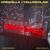 New World - Krewella