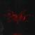 Since - William Darc