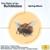 Concerto For Violin And Strings In E, Op.8, No.1, RV 269 "La Primavera" - 2. Largo - London Symphony Orchestra