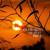 God Gave Fall - Globalix