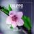 Thinking About You - Alex Aiono