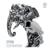 Elephantasm - Etyen