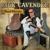 Dream in the Distance - Rick Cavender