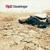 The Proxy - RJD2