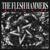 Night of the Demon - The Flesh Hammers