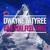 Can You Feel That - Dwayne W. Tyree