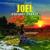 I'm on Top - Joel