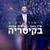 מהפכה של שמחה - Lior Narkis