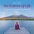Not alone - Oliver Scheffner