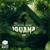Iguana - Bios Destruction