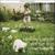 Absolute Gravity - Snow Patrol