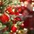 Jingle bells - Susanna Zucchelli