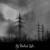 Insignificance - My Useless Life