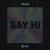Say Hi - Felguk
