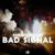 Bad Signal - MikeFreedom