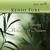 Enchanted Forest - Kenio Fuke