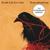 Tiny Vessels - Death Cab for Cutie