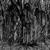 It Took the Night to Believe - Sunn O)))